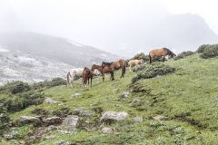 trekking to Ala-Kul lake
