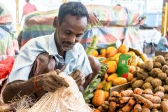 Pettah vegetable market