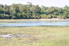 Wilpattu national park