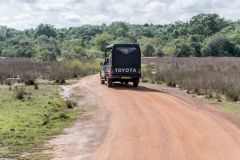 Wilpattu national park