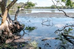 Wilpattu national park