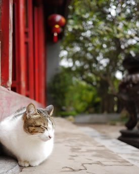 A temple is always a nice place to relax...