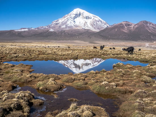 Sajama National Park is quite spectacular